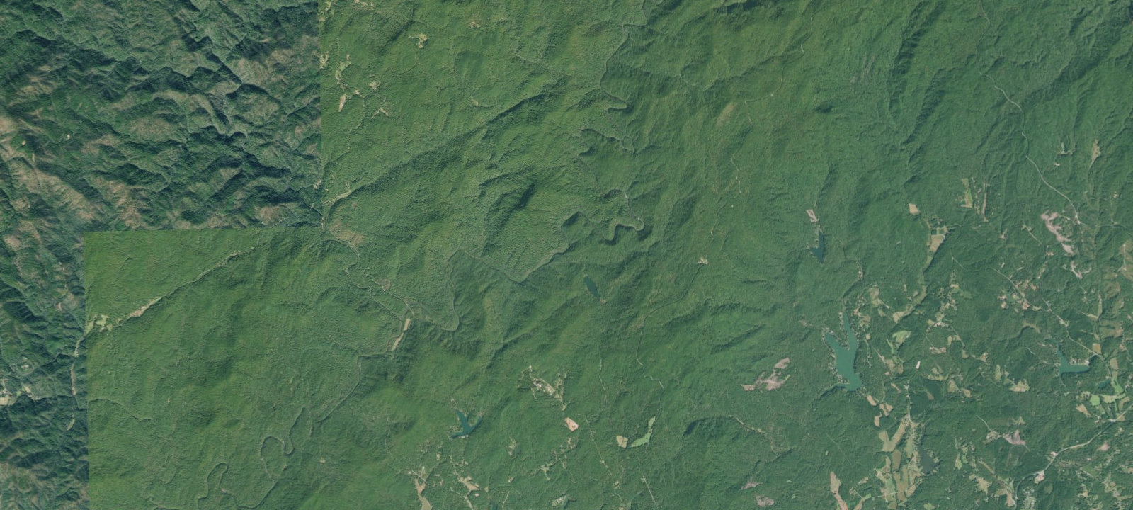 Map of Licklog Falls Campsite