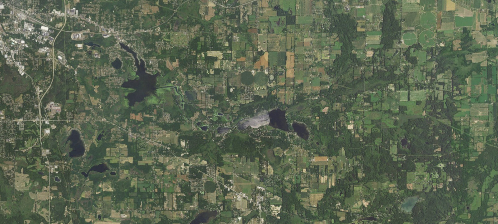 Map of Dogwoods