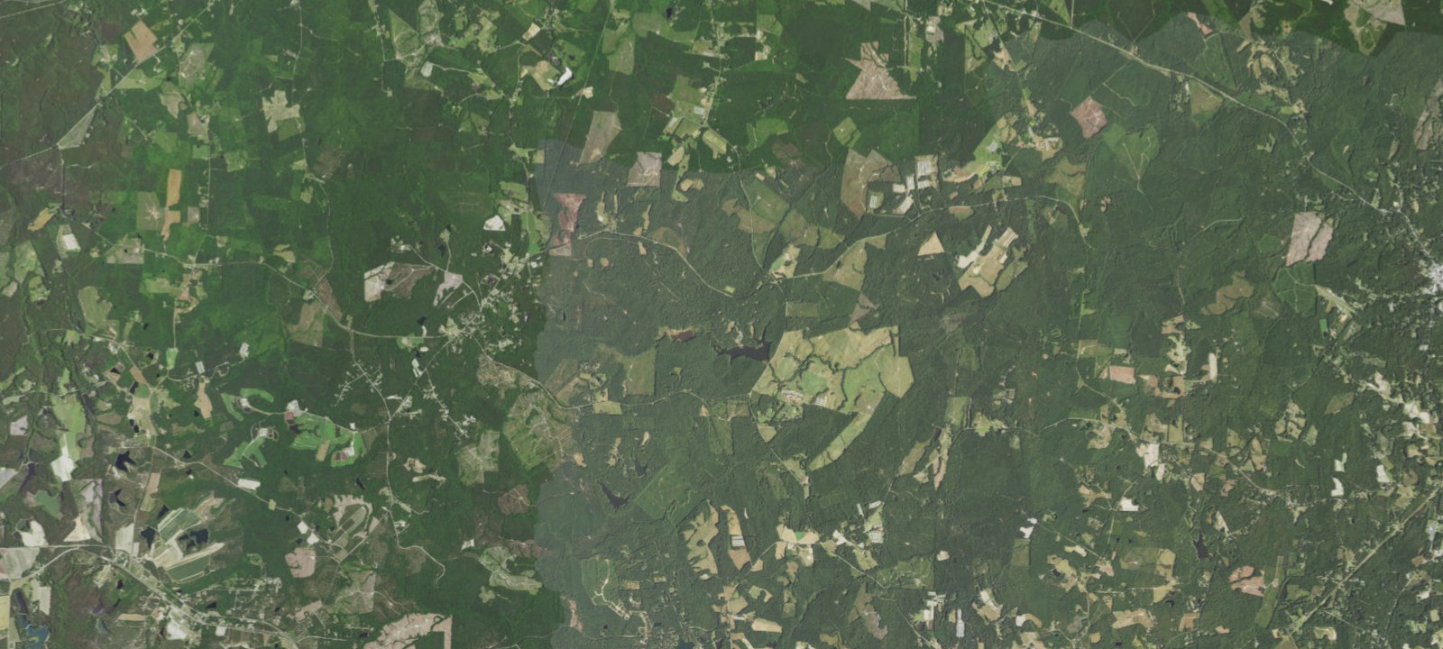 Map of Loblolly Campsite