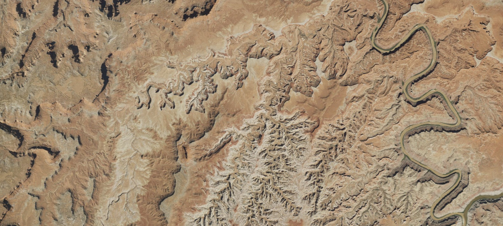 Map of Maze Overlook 1 Campsite