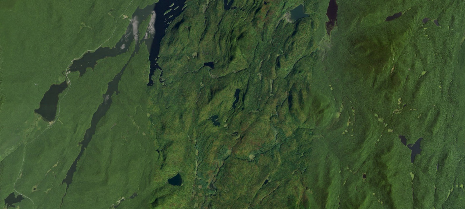 Map of Long Pond Site 1