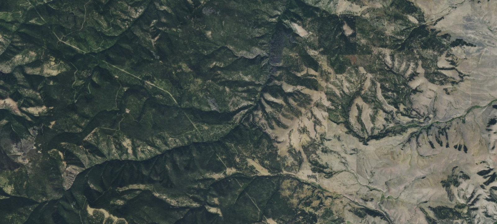 Map of Harvey Creek-002