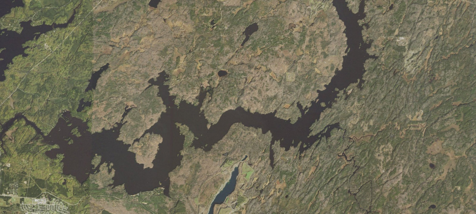 Map of Birch Lake Site 8
