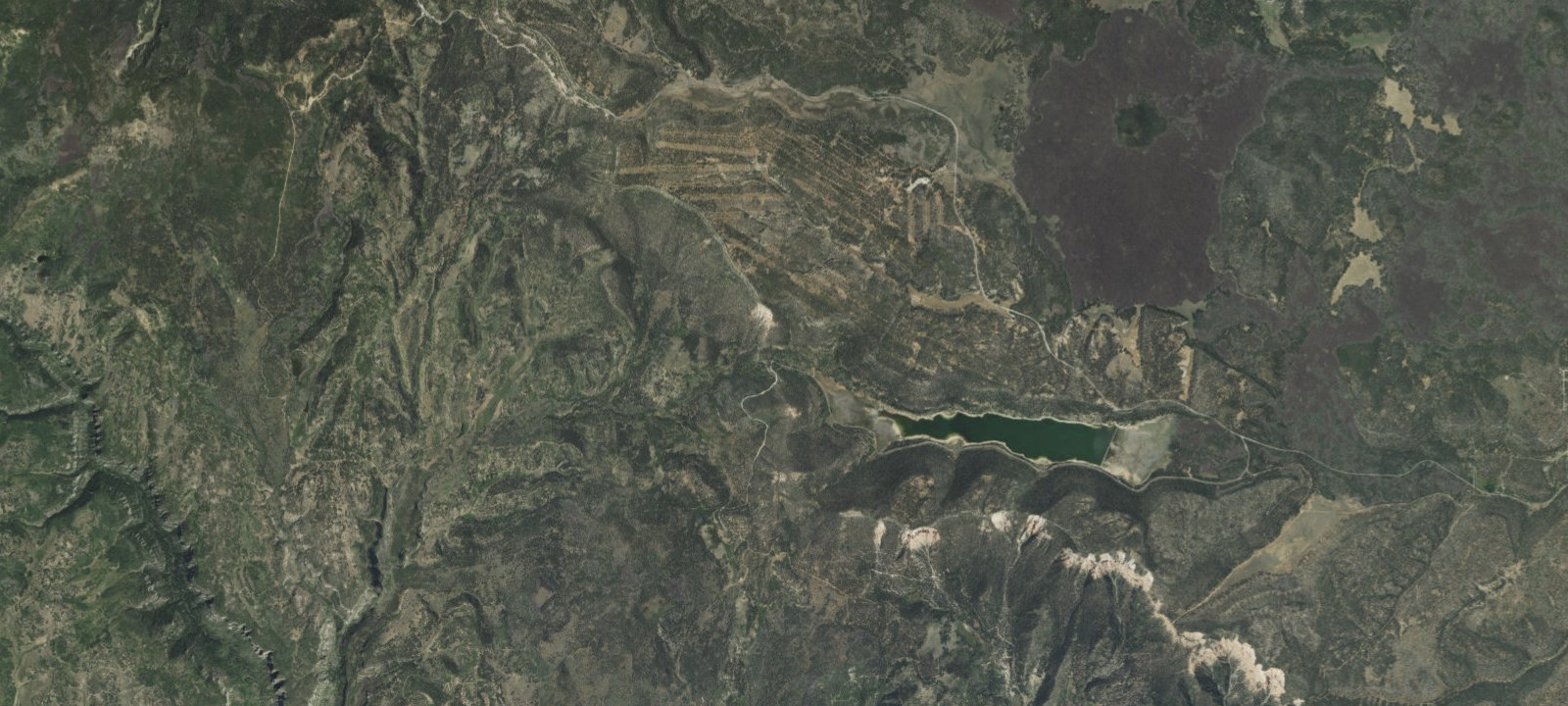 Map of Site 31