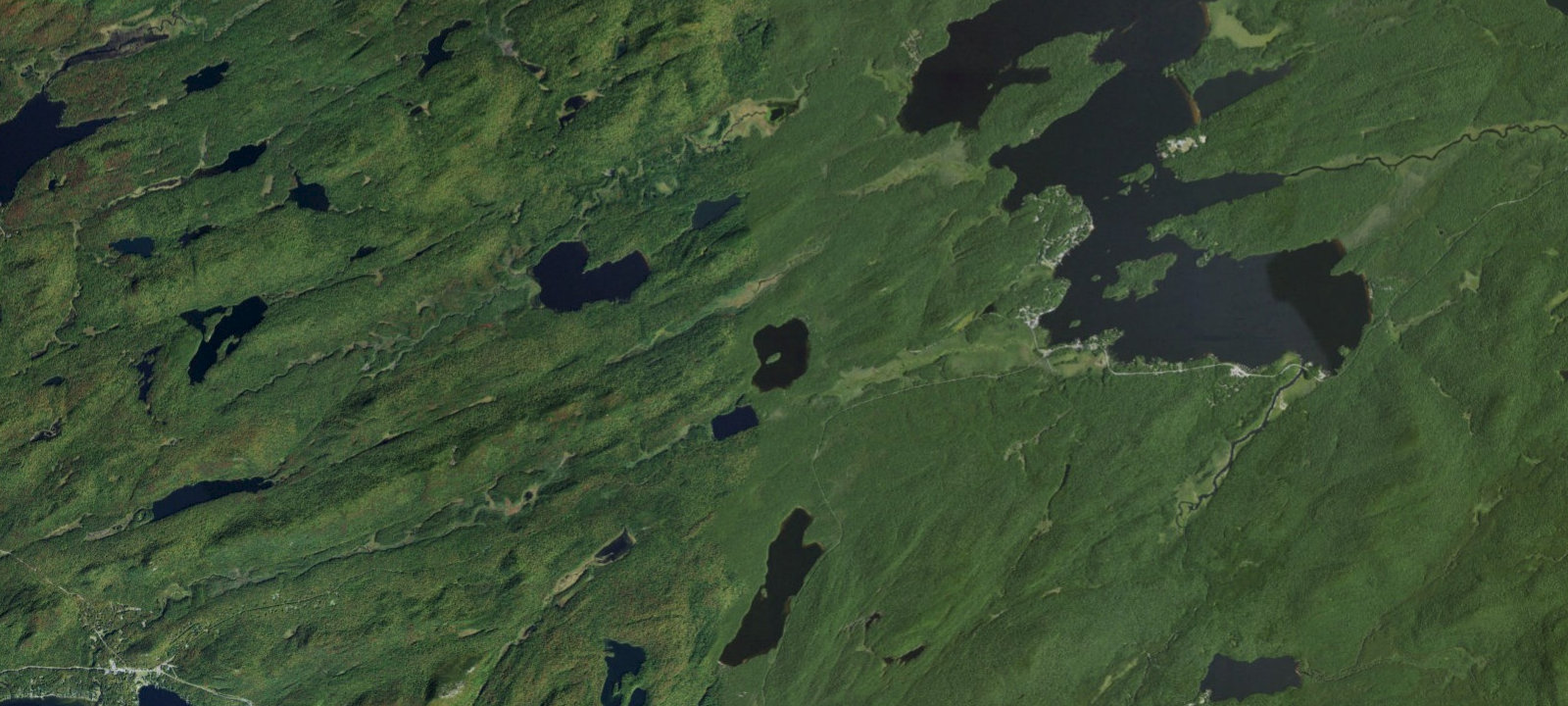 Map of Brown Tract Pond Campground