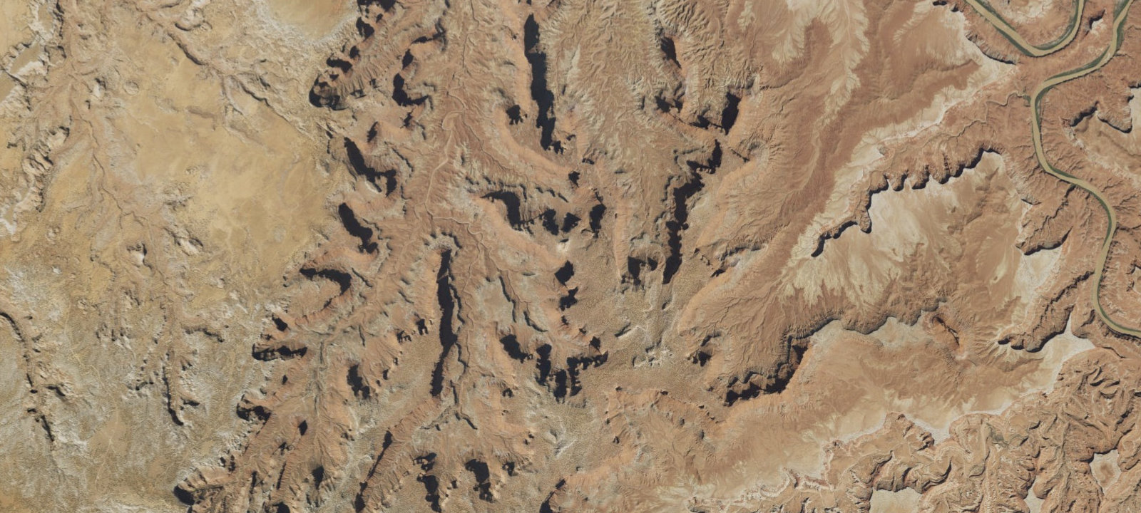 Map of Cleopatra's Chair Campsite
