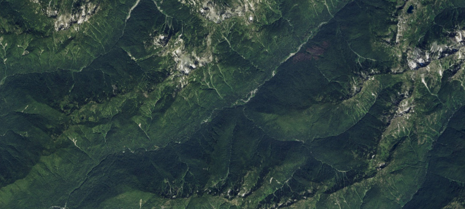 Map of O'Neil Creek Camp