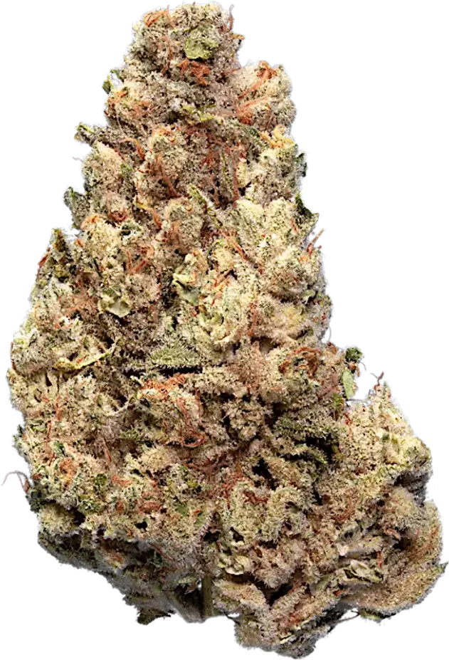 Cold Creek Kush