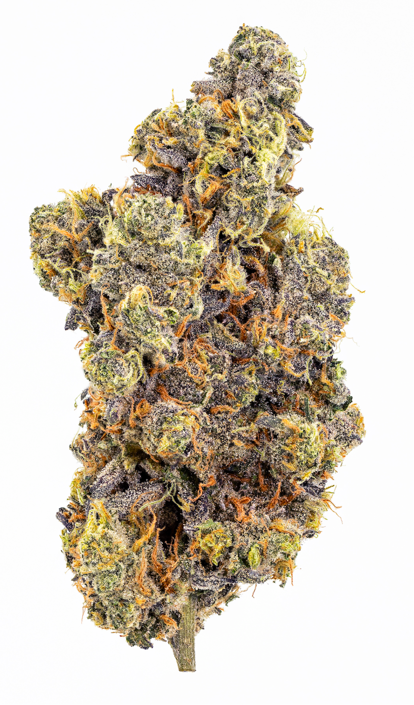 Mint Chocolate Chip