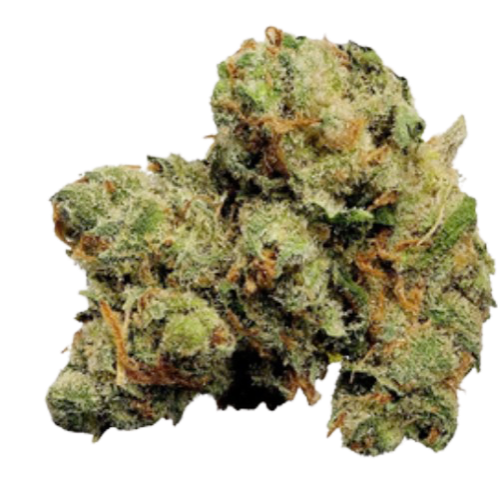 Jack Herer