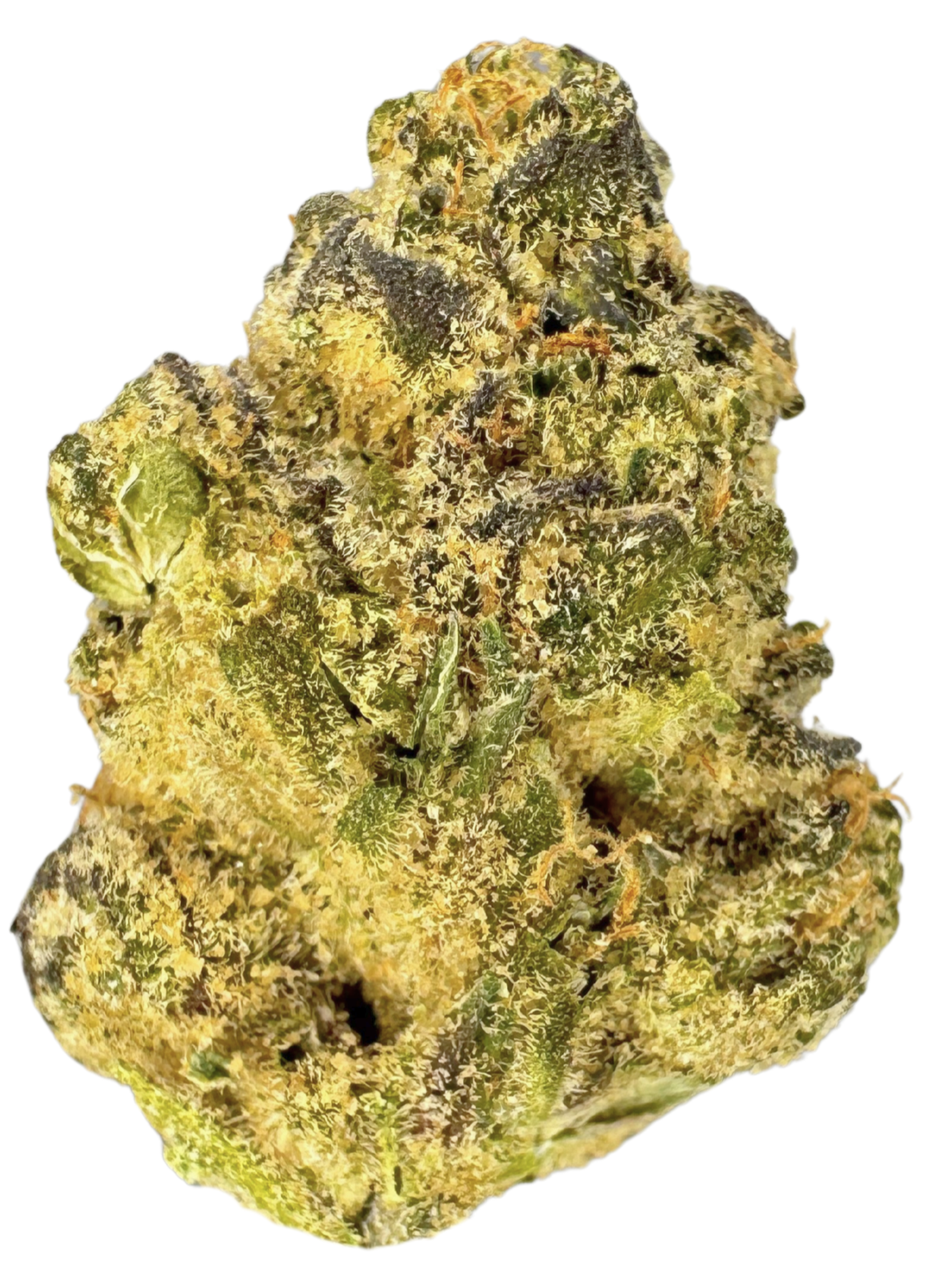 Frosted Gelato
