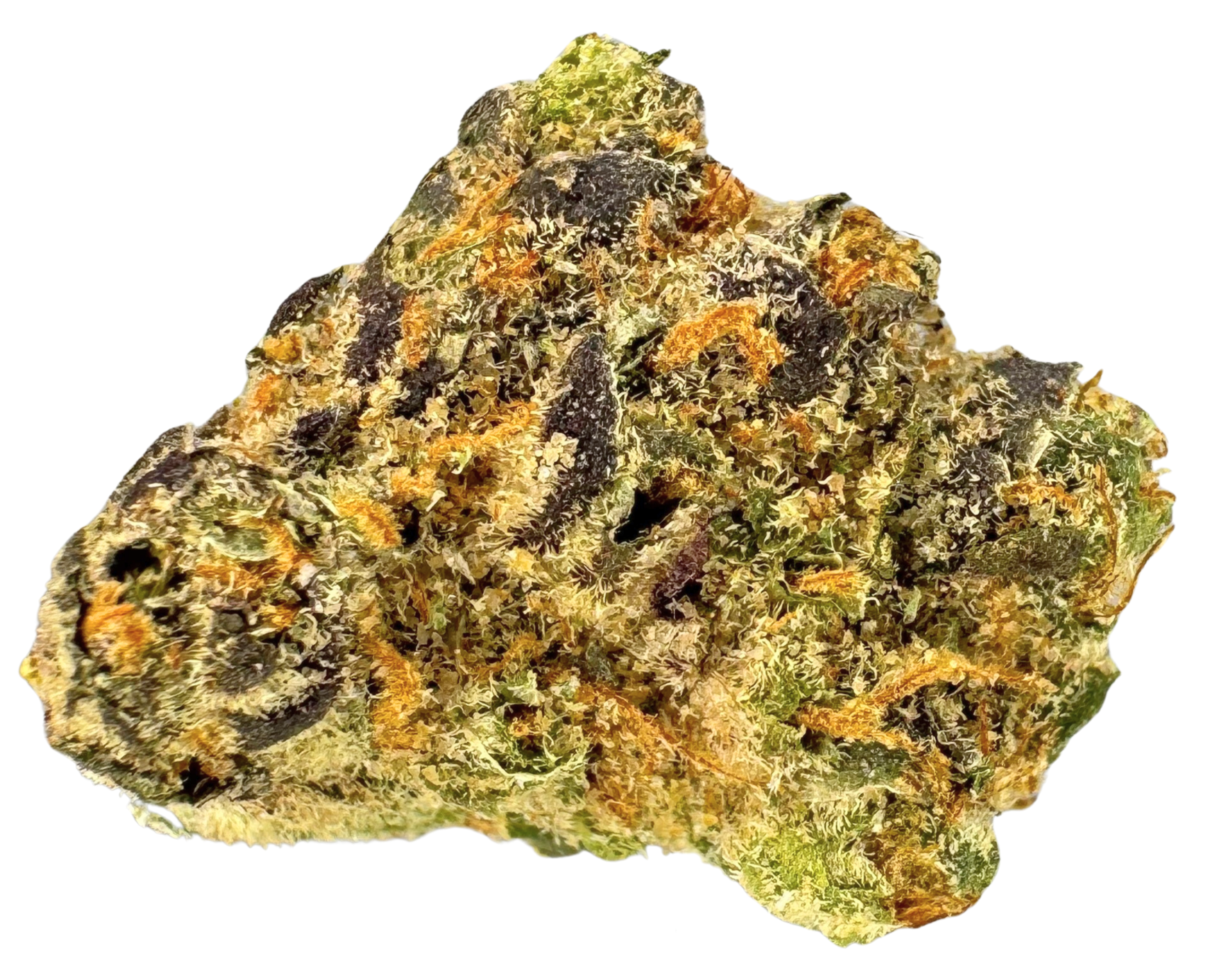 Space Cake