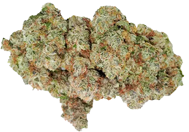 Ocean Grown Cookies