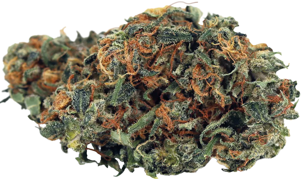 Mango Haze
