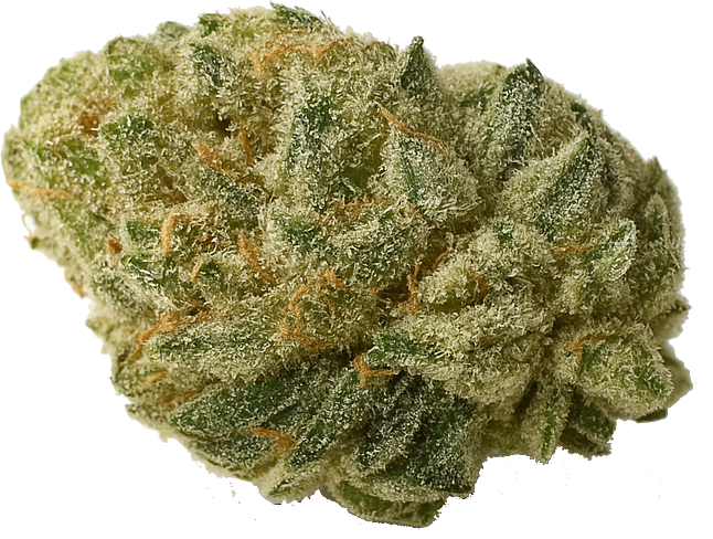 Kush Mintz
