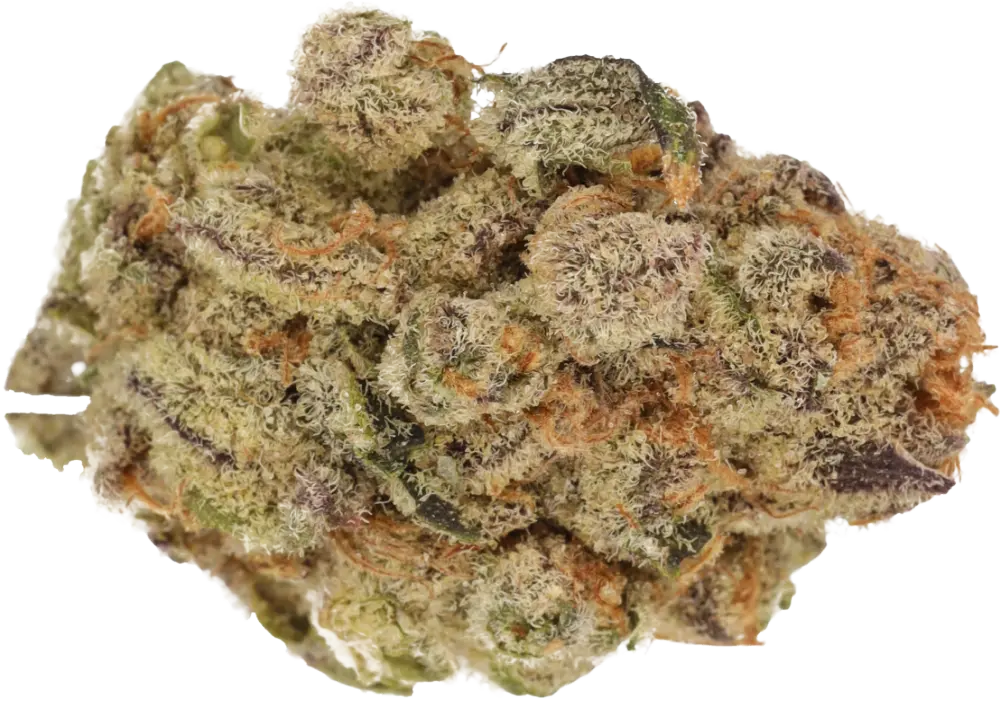 Black Cherry Punch
