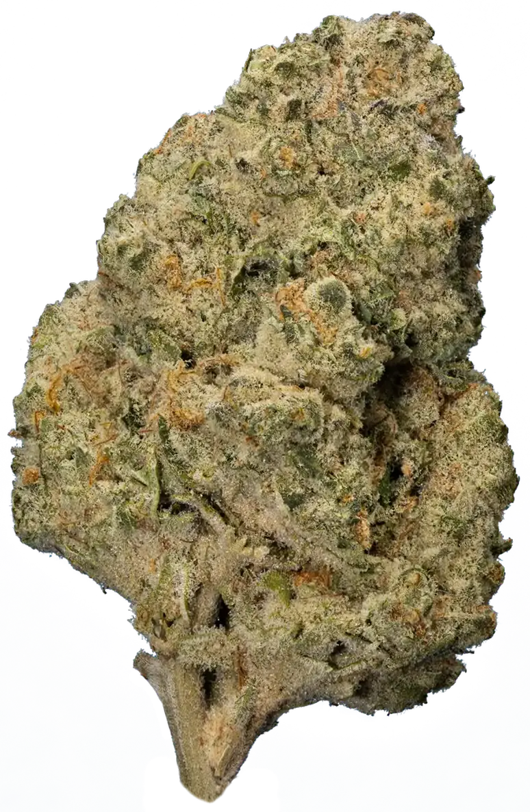 Black Cherry Punch