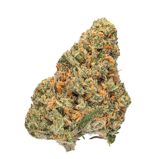 enua 22/1 EG CA Electric Grapefruit Produktfoto