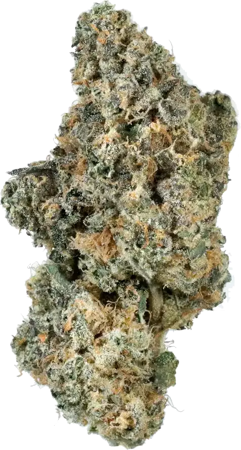 Fine Cookies
