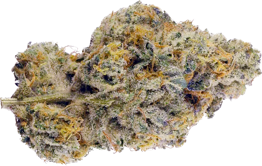 Garlic Truffle
