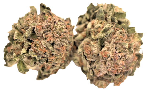 Galaxy Walker OG