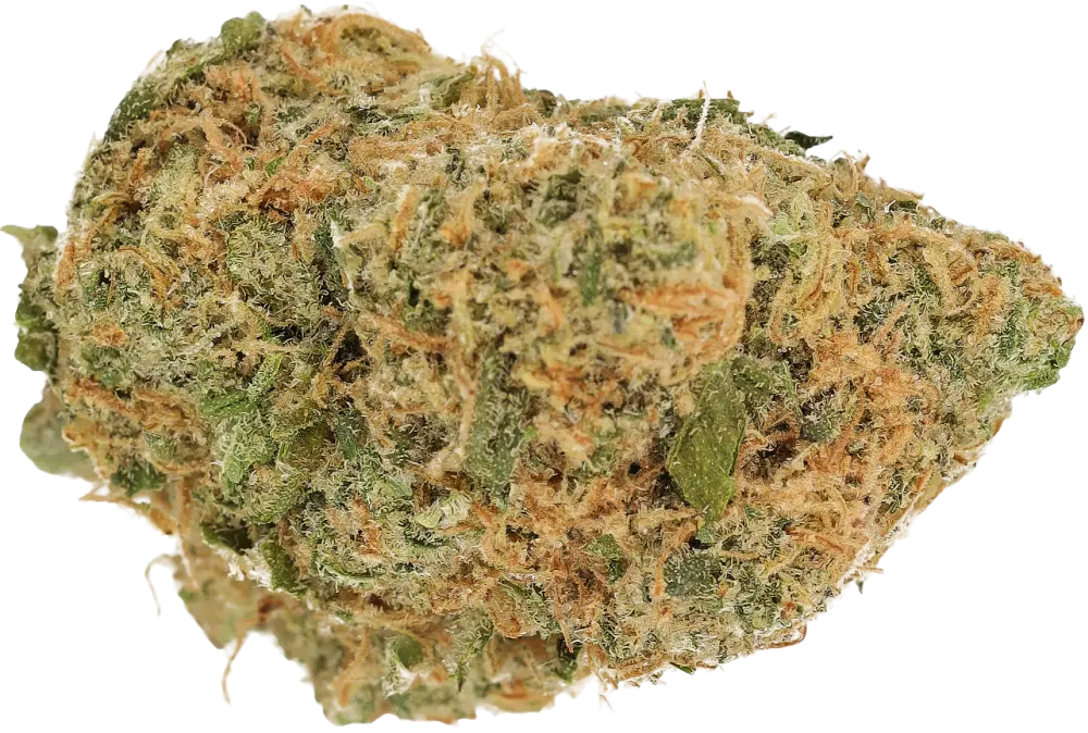 Gelato Dream