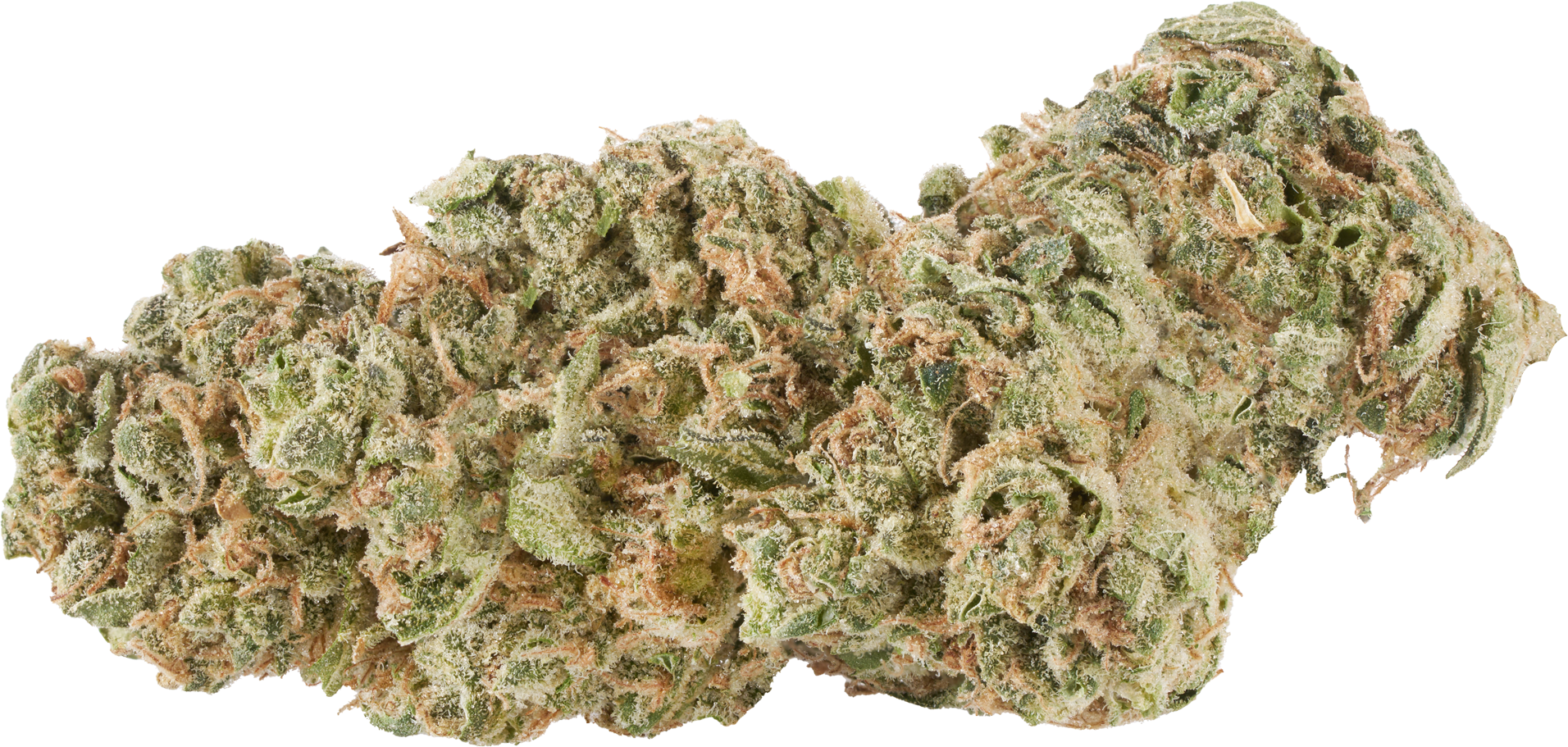 Ghost Gelato