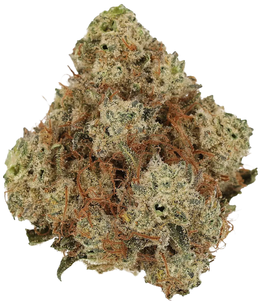 Ghost Train Haze