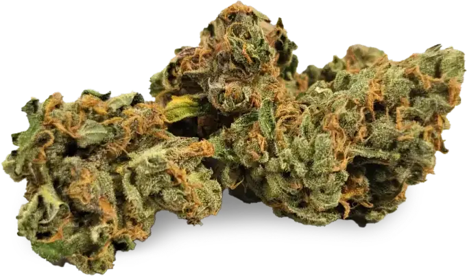 Island Sweet Skunk