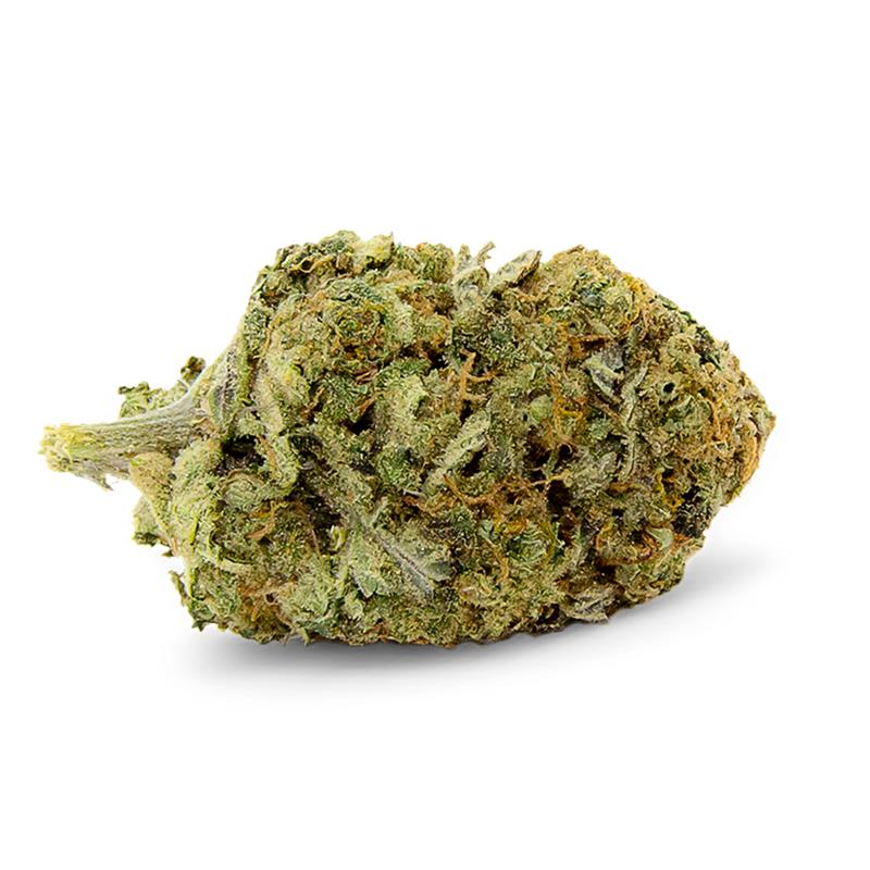Mango Kush