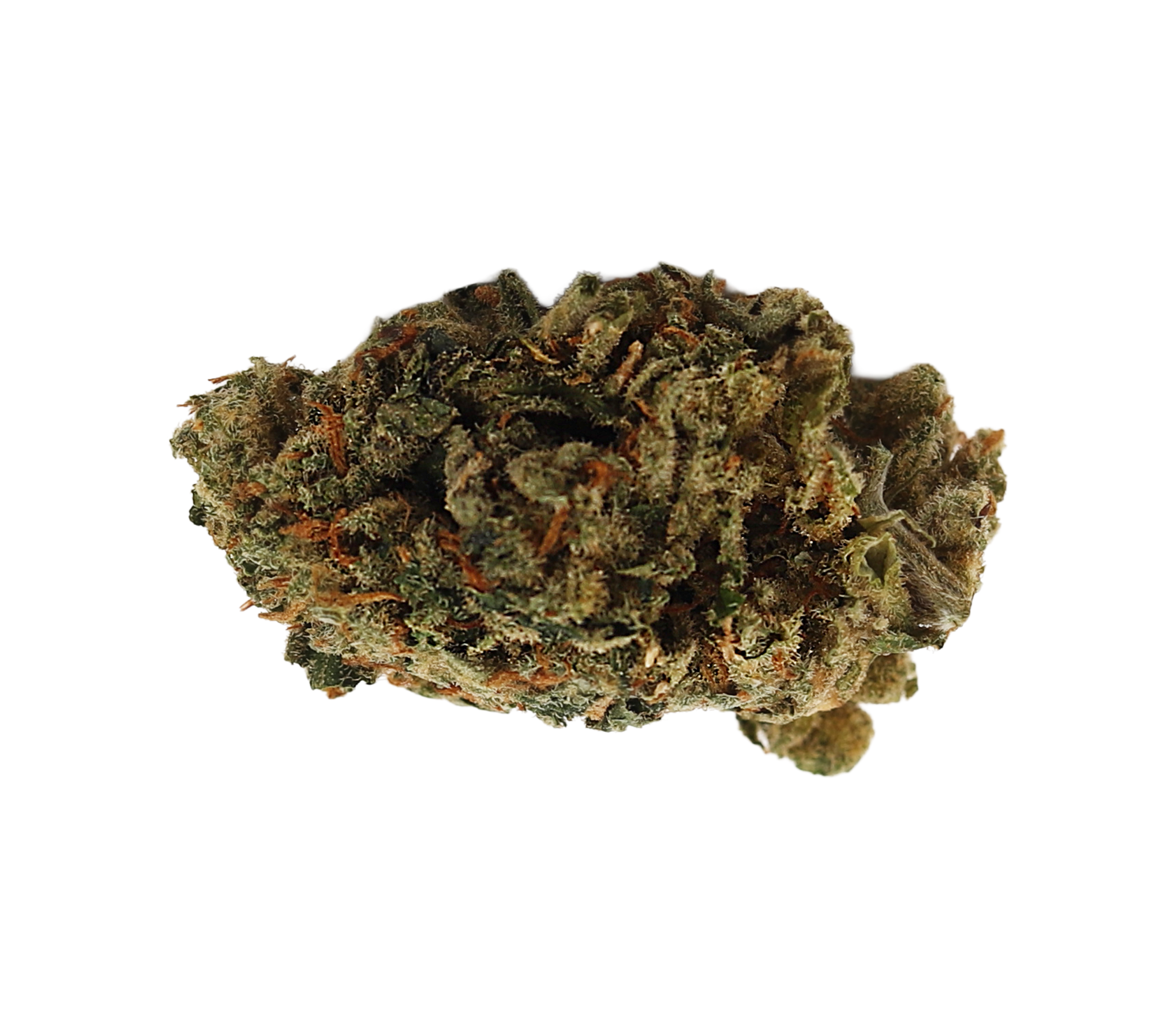 Amnesia Balanced