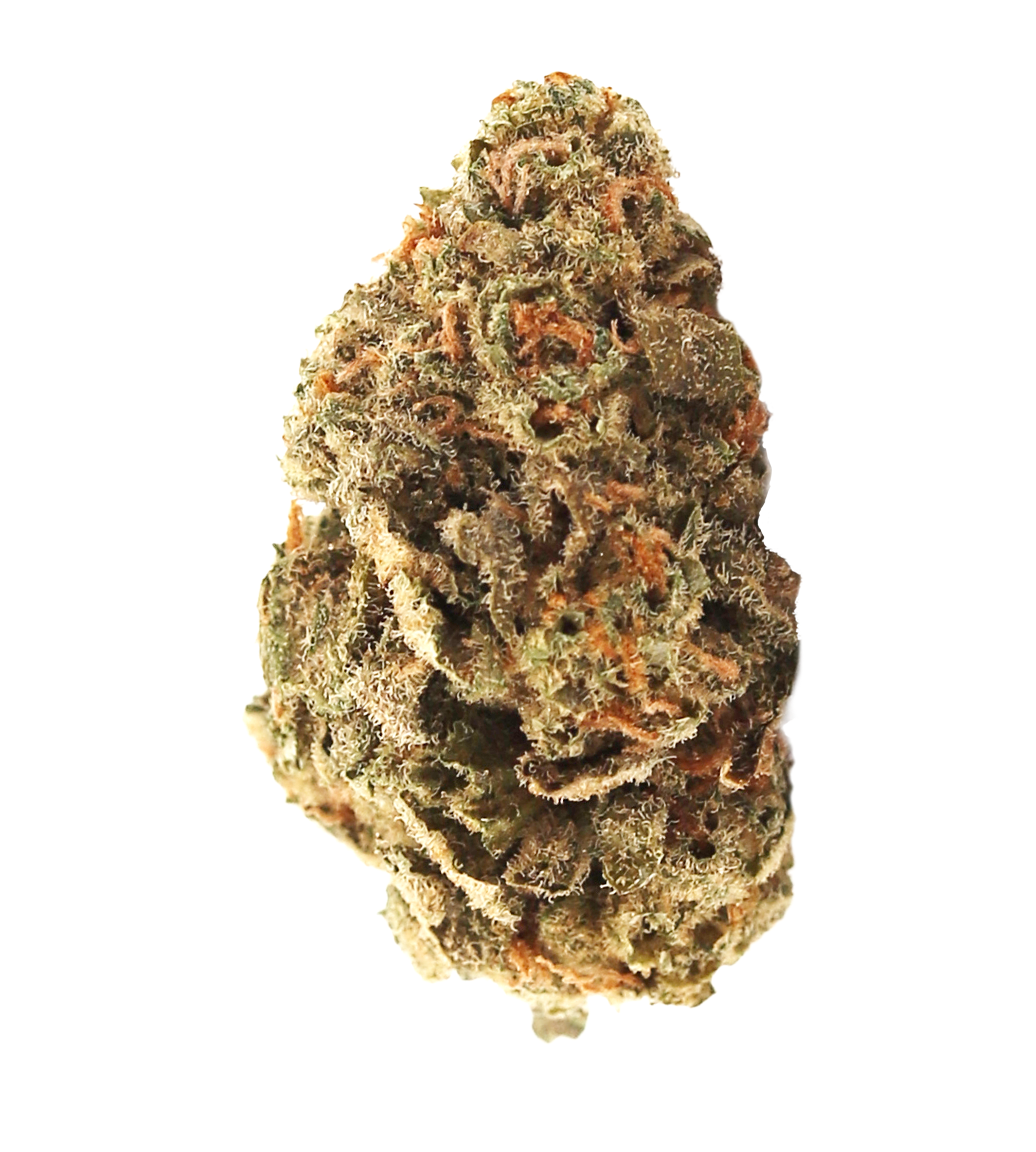 Amnesia Skittlez