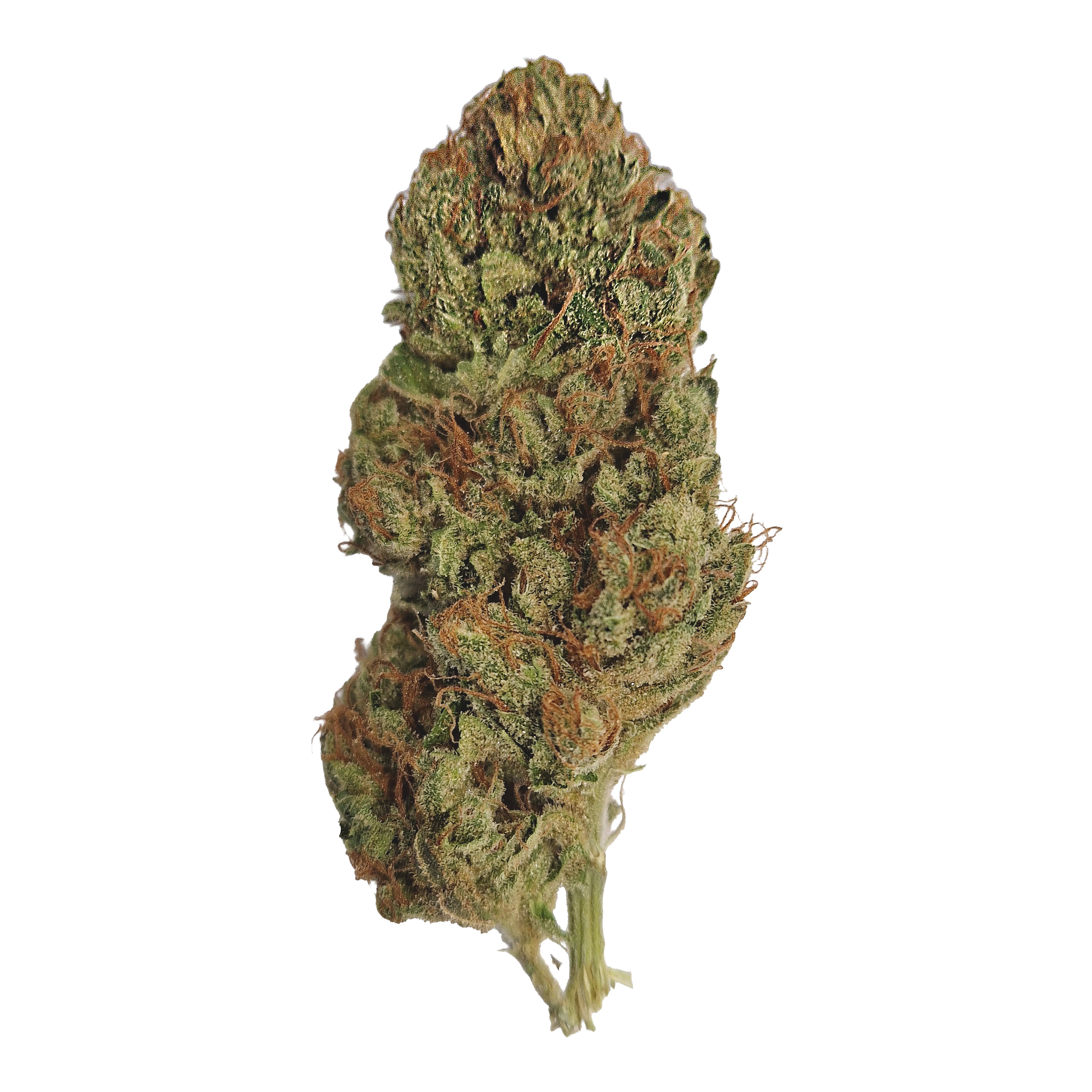 Sour Tangie