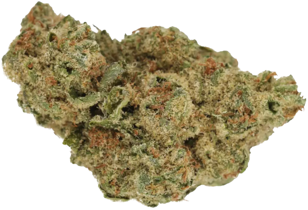 Cannamedical Indica forte NG Produktfoto