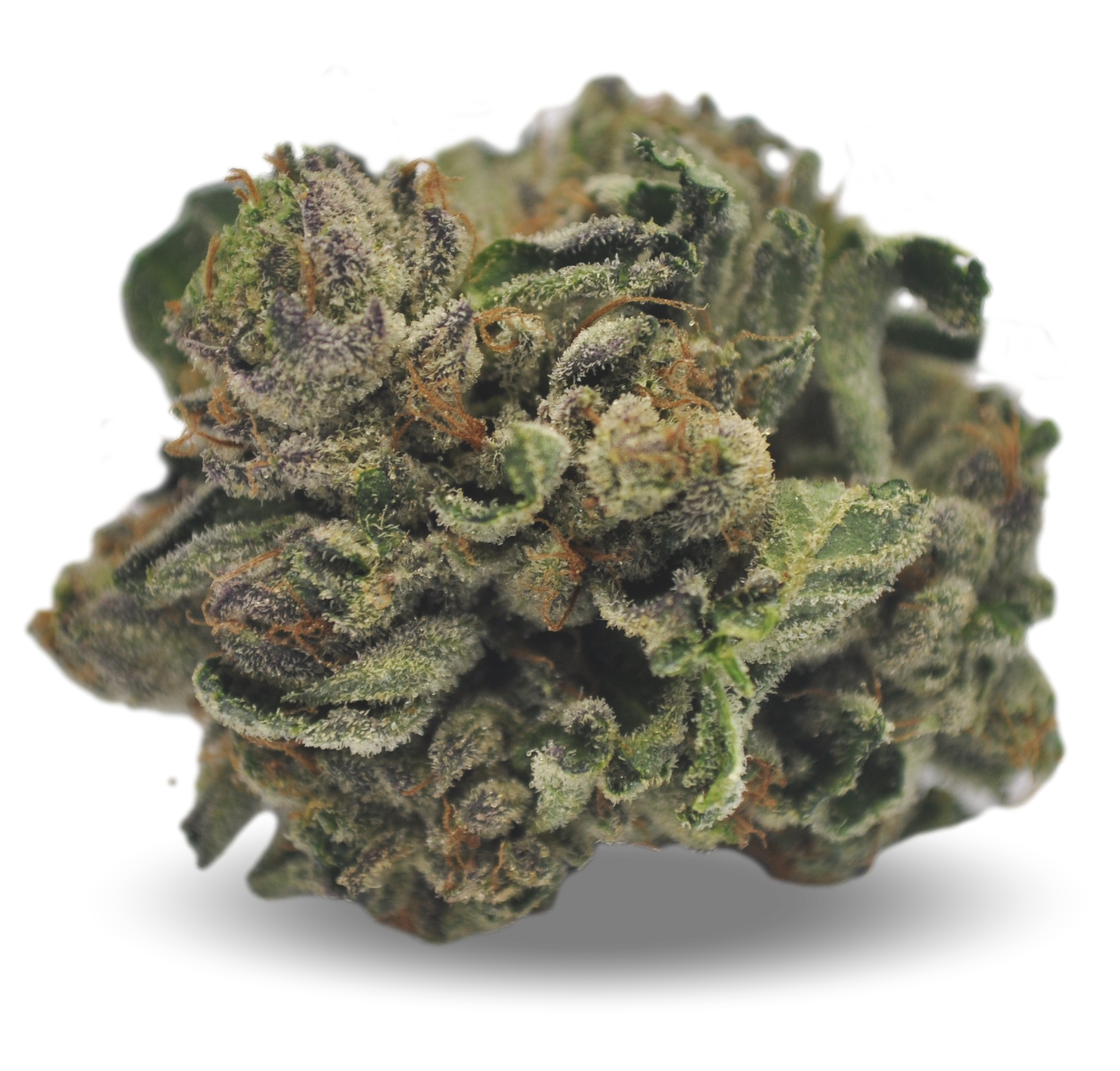 Tilray THC25 Spotlight Porto Purps Produktfoto