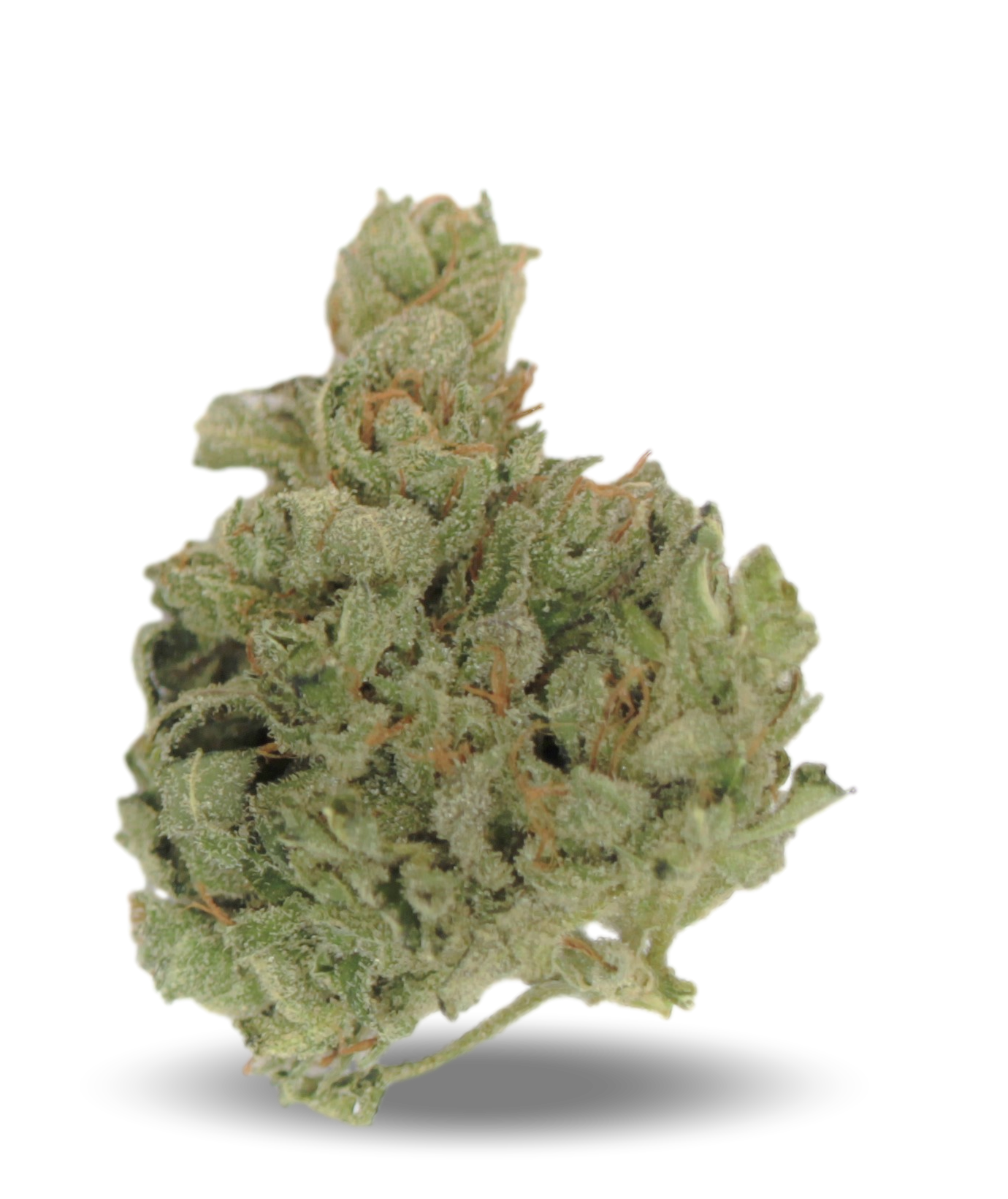 Tilray THC25 Sativa No 4 Produktfoto