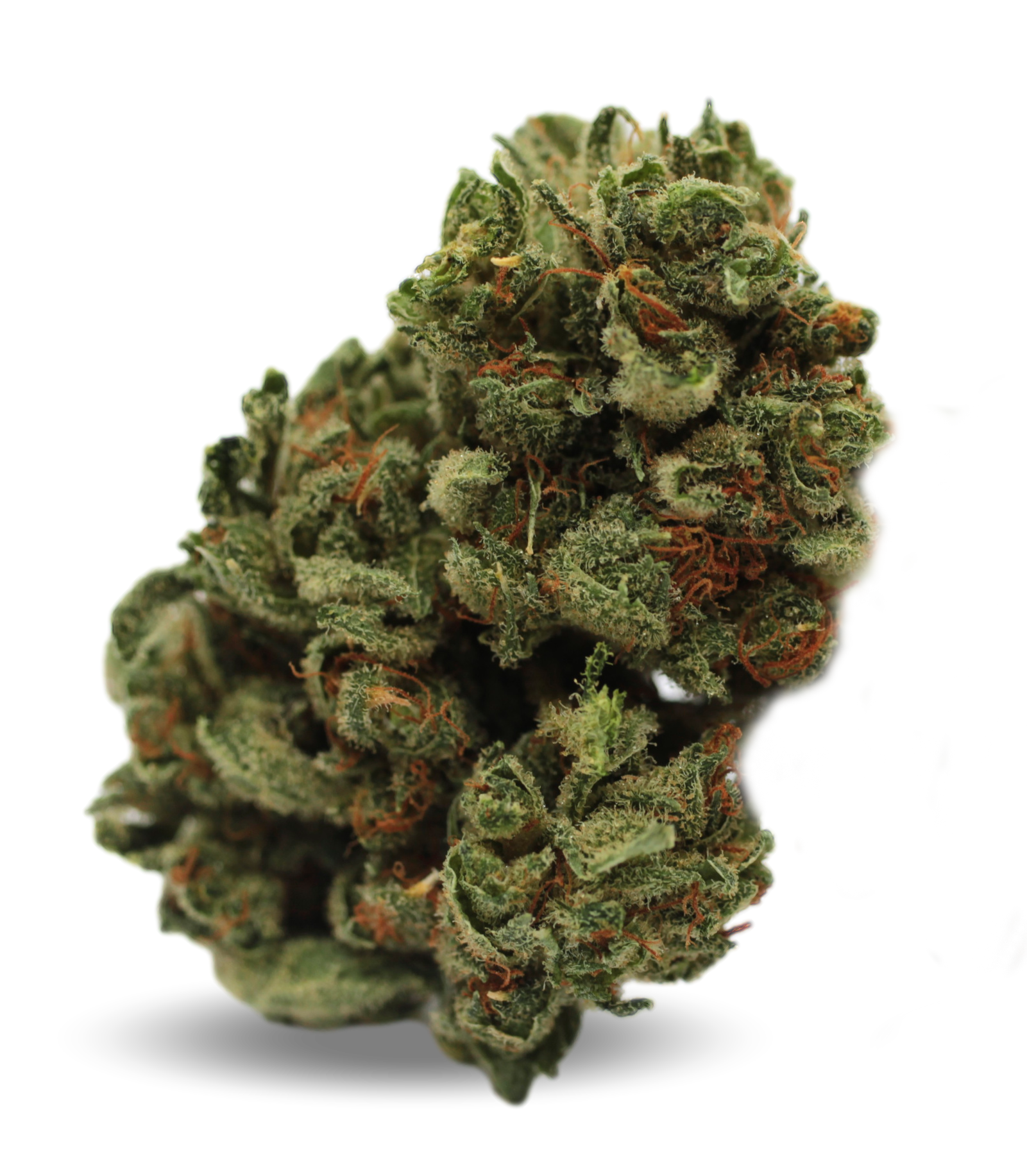 Good Supply Cannabisblüten THC10:CBD9 WLC Produktfoto