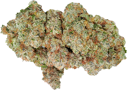 Ocean Grown Cookies