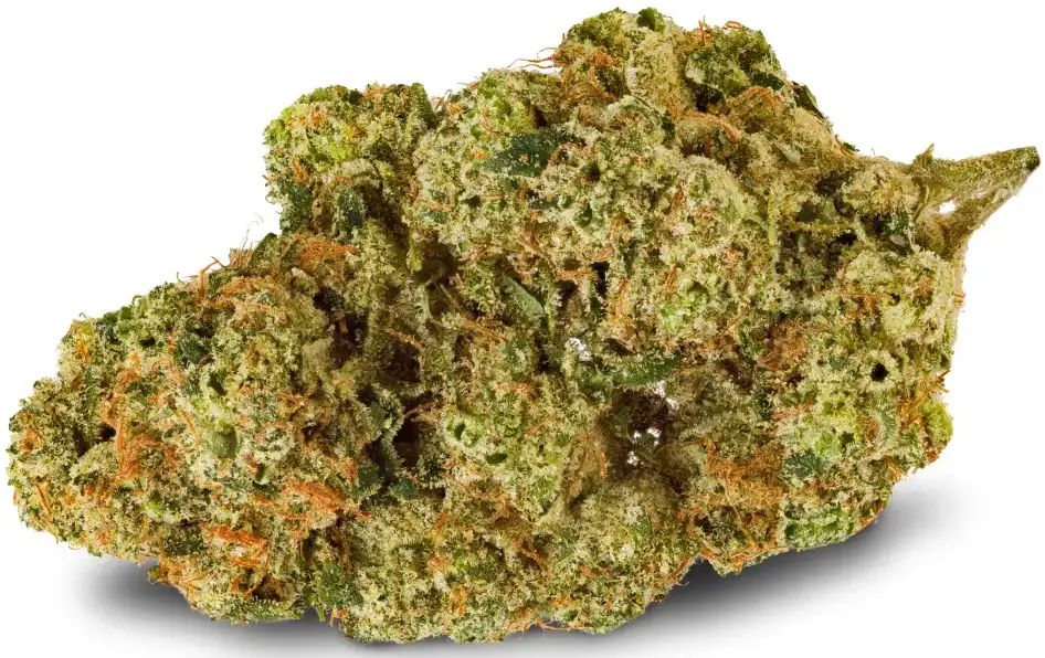 Electric Honey Dew