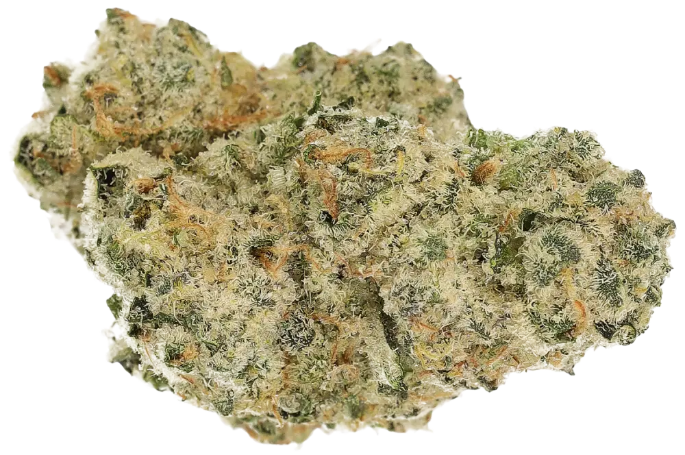 Polar Cookies