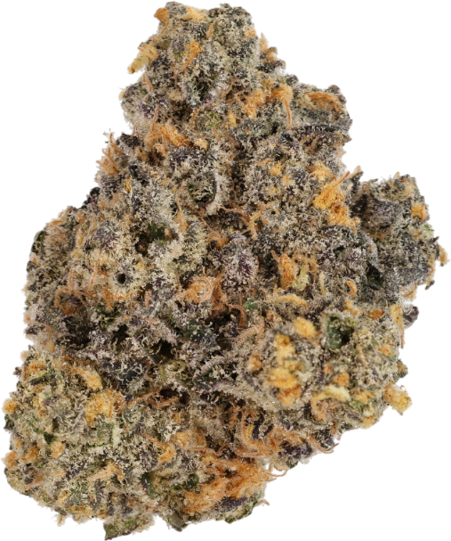 Rainbow Sherbert 11