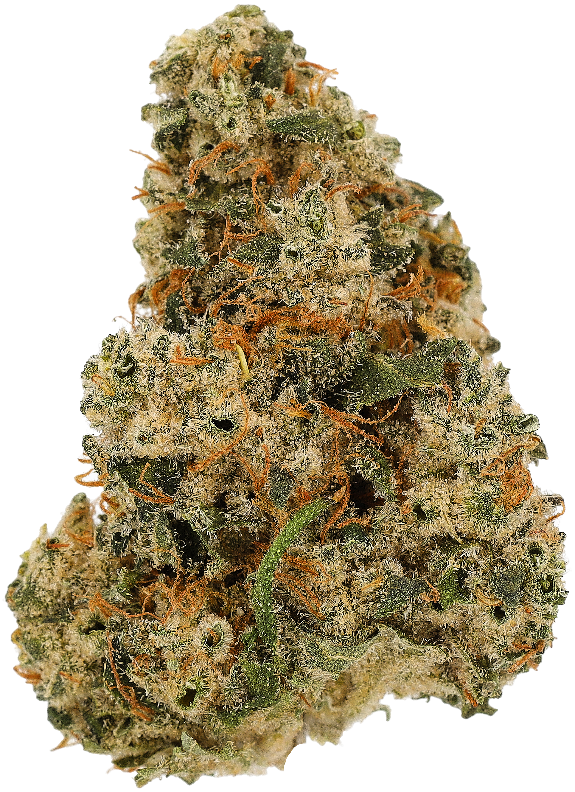 Cannamedical Sativa Forte DK Produktfoto