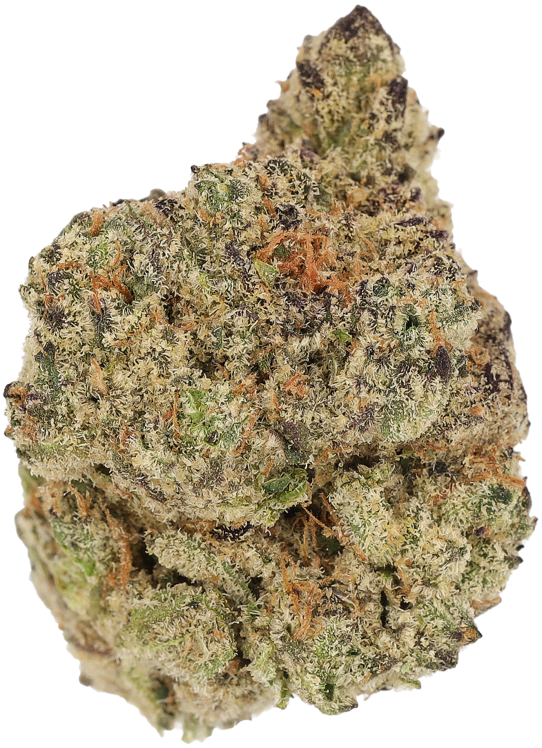 Cannamedical Hyrid Forte SA Produktfoto