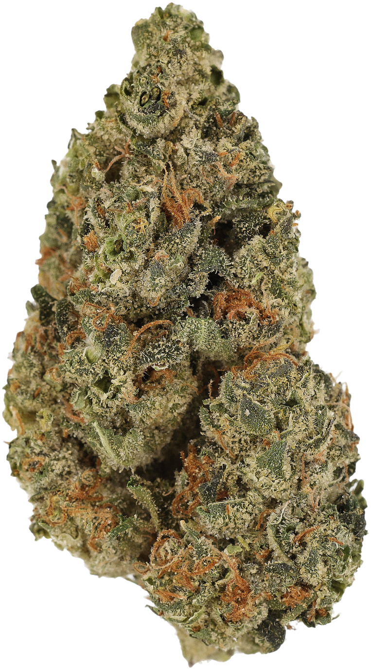 Grape LA