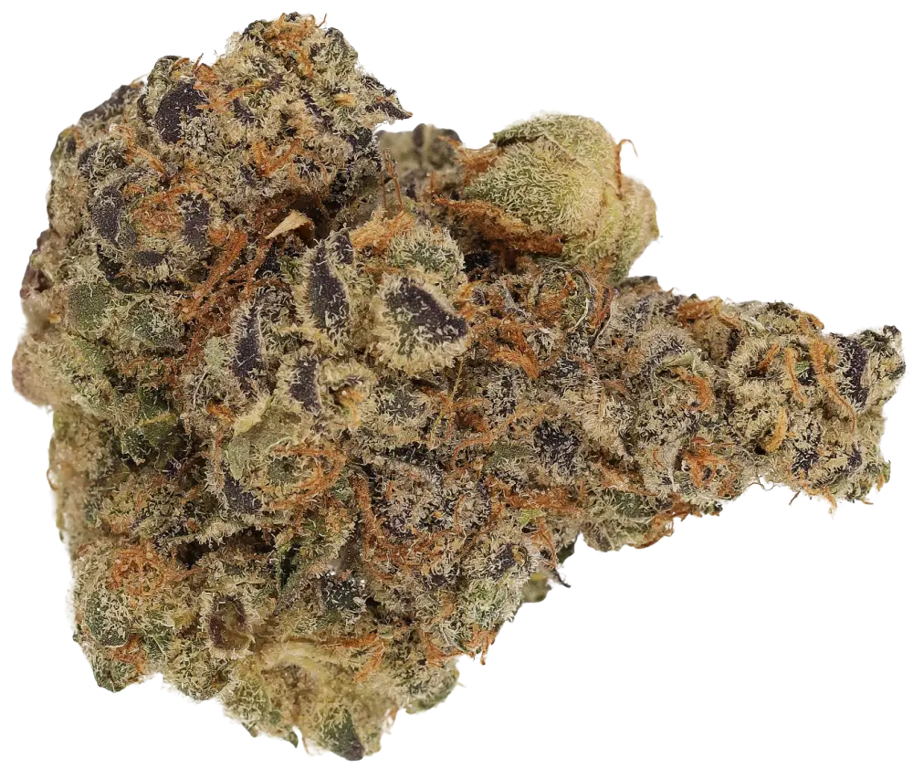 Space Cake