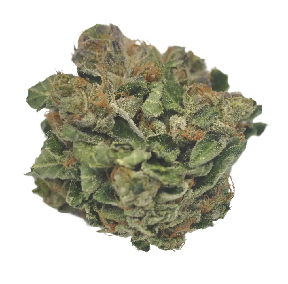 Purps
