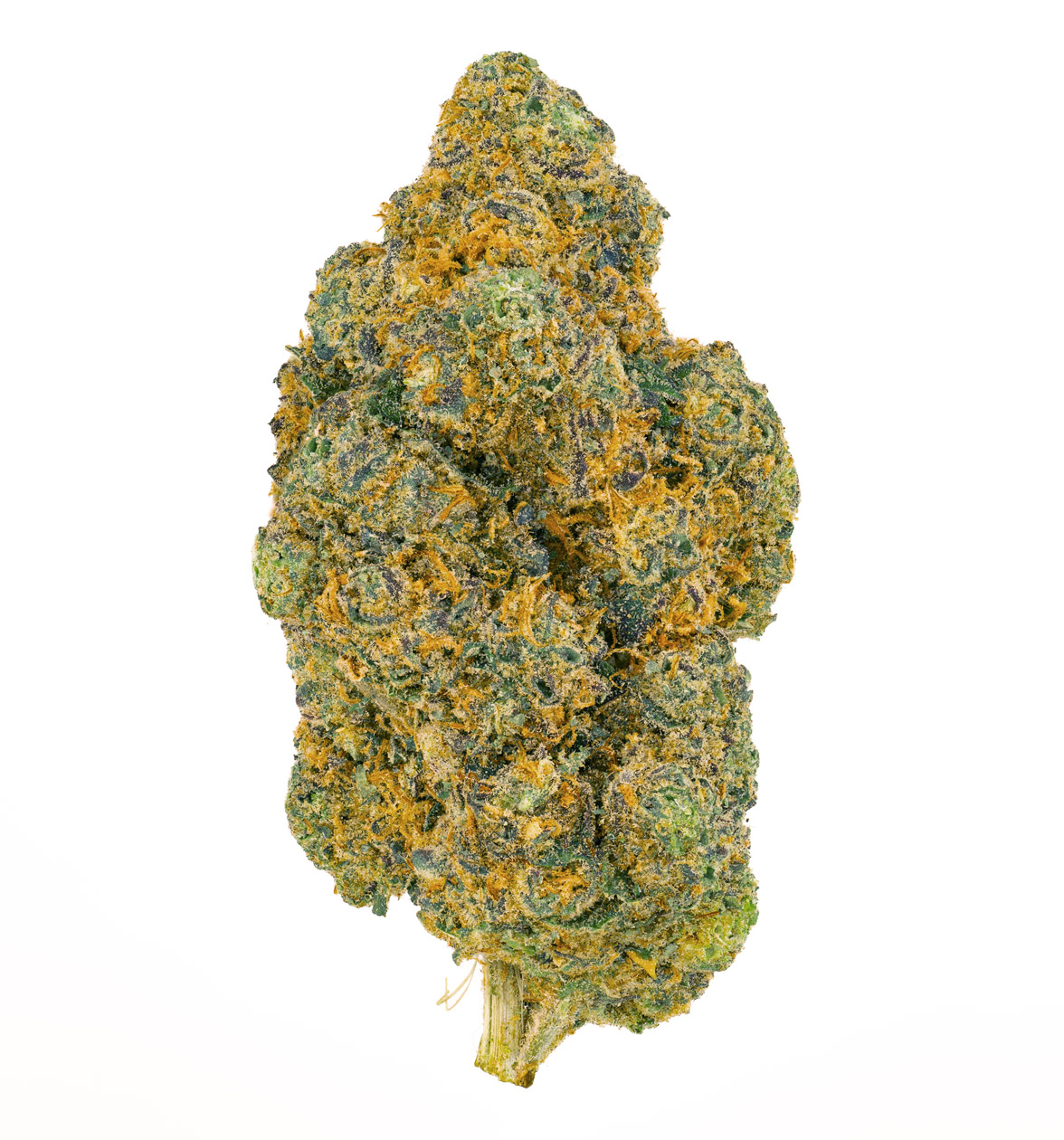 Frozen Lemon Haze