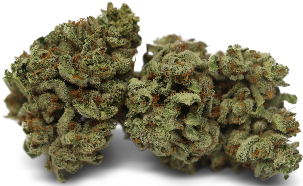 Tilray THC 22 Spotlight Porto Produktfoto