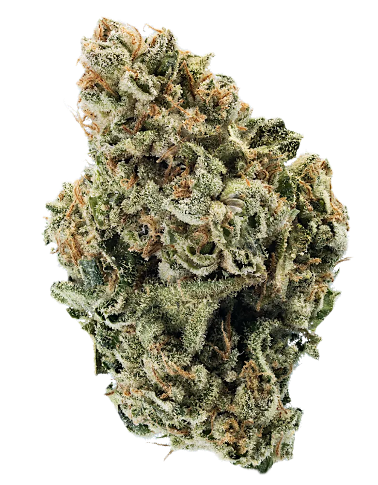 Mega Breath