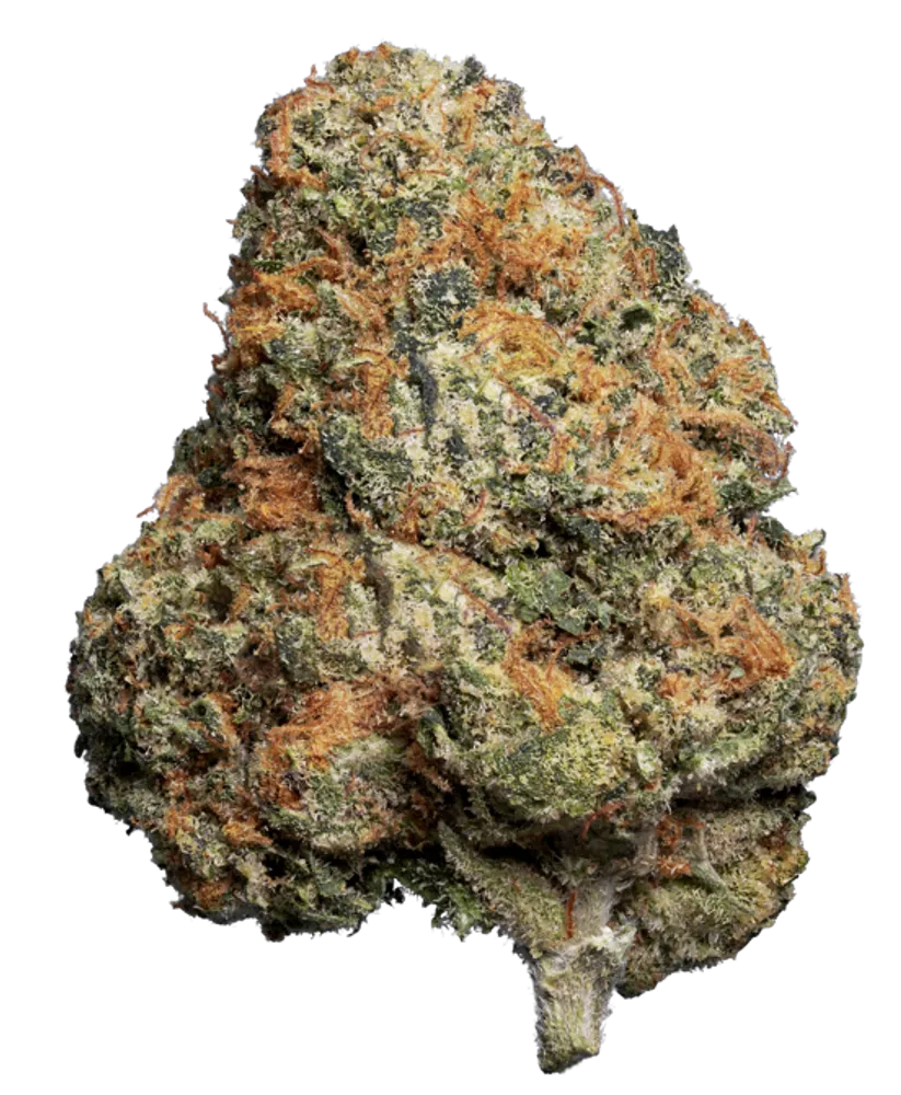 Jet Fuel Gelato